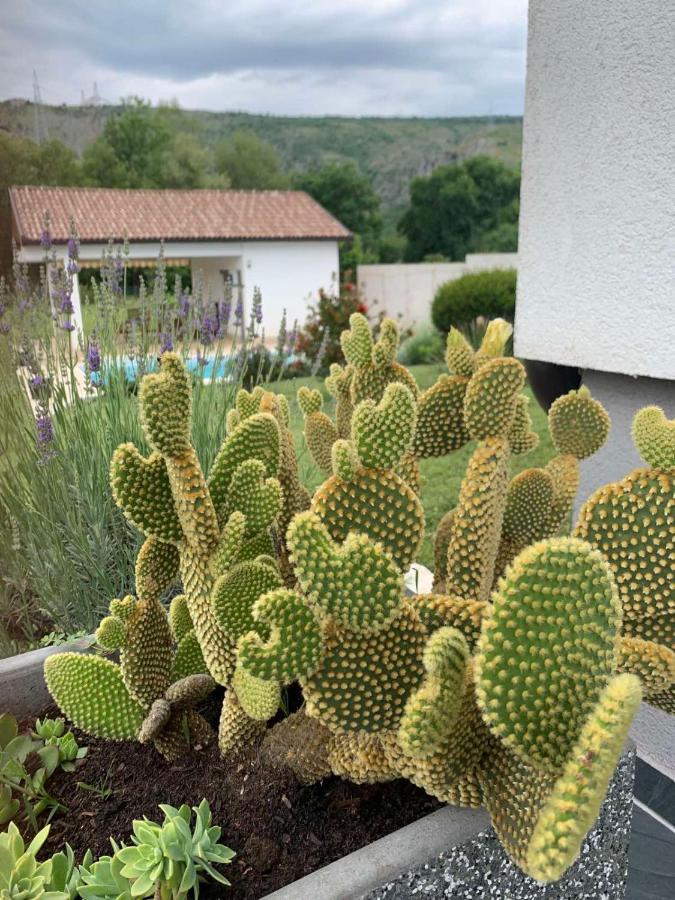 Villa Buna Екстериор снимка